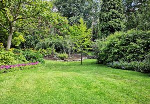 Optimiser l'expérience du jardin à Bois-Normand-près-Lyre